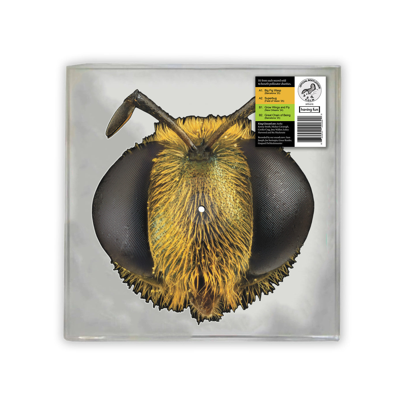KING GIZZARD & THE LIZARD WIZZARD - BIG FIG WASP (BEE/BUG SHAPED VINYL) (RSD) Vinyl LP