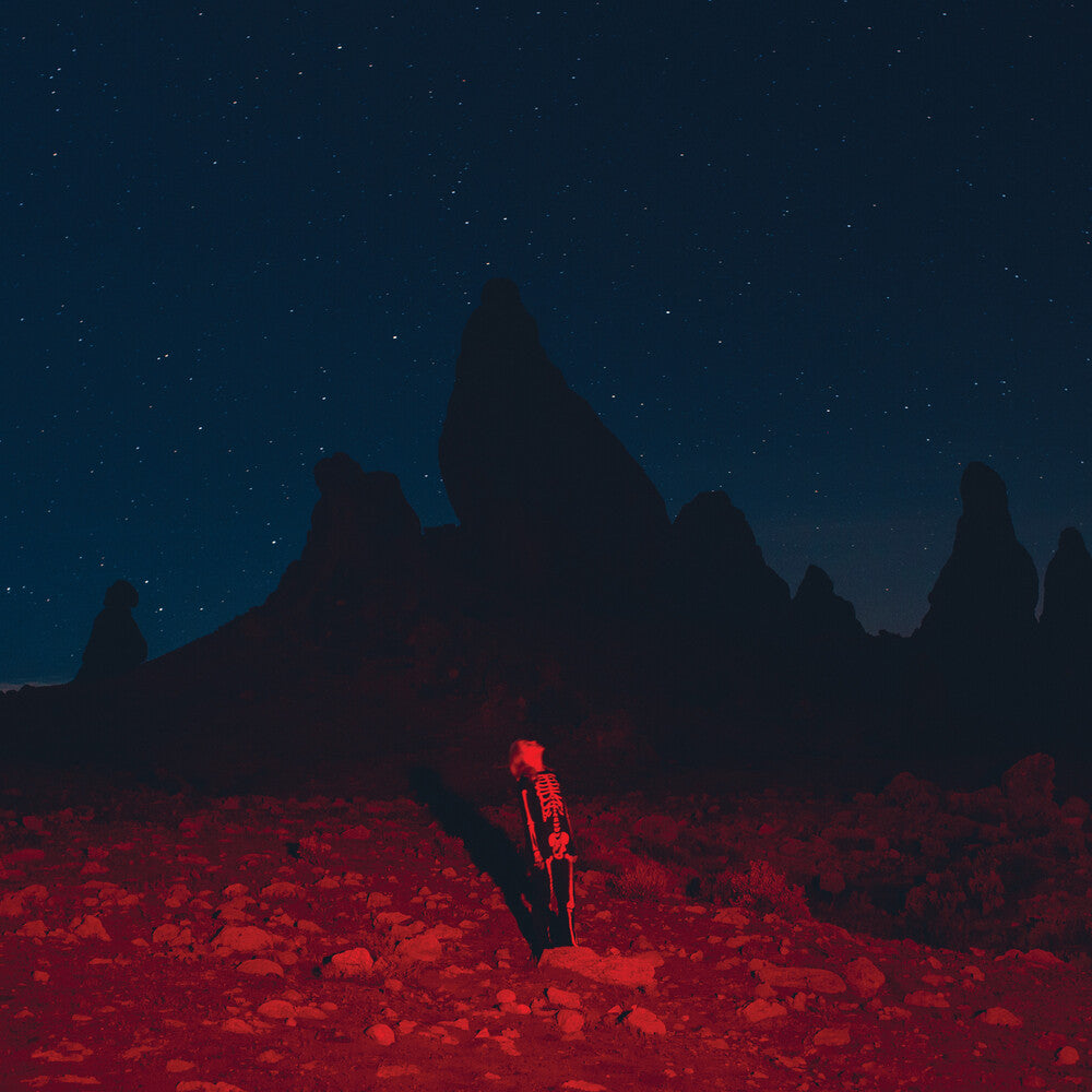 the album cover for Phoebe Bridgers - Punisher