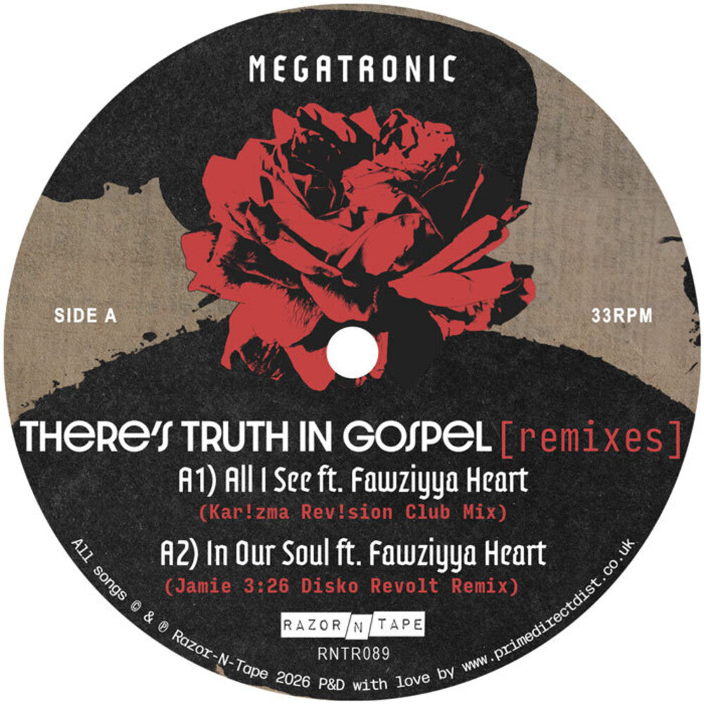 the album cover for Megatronic - There's Truth In Gospel (Remixes)