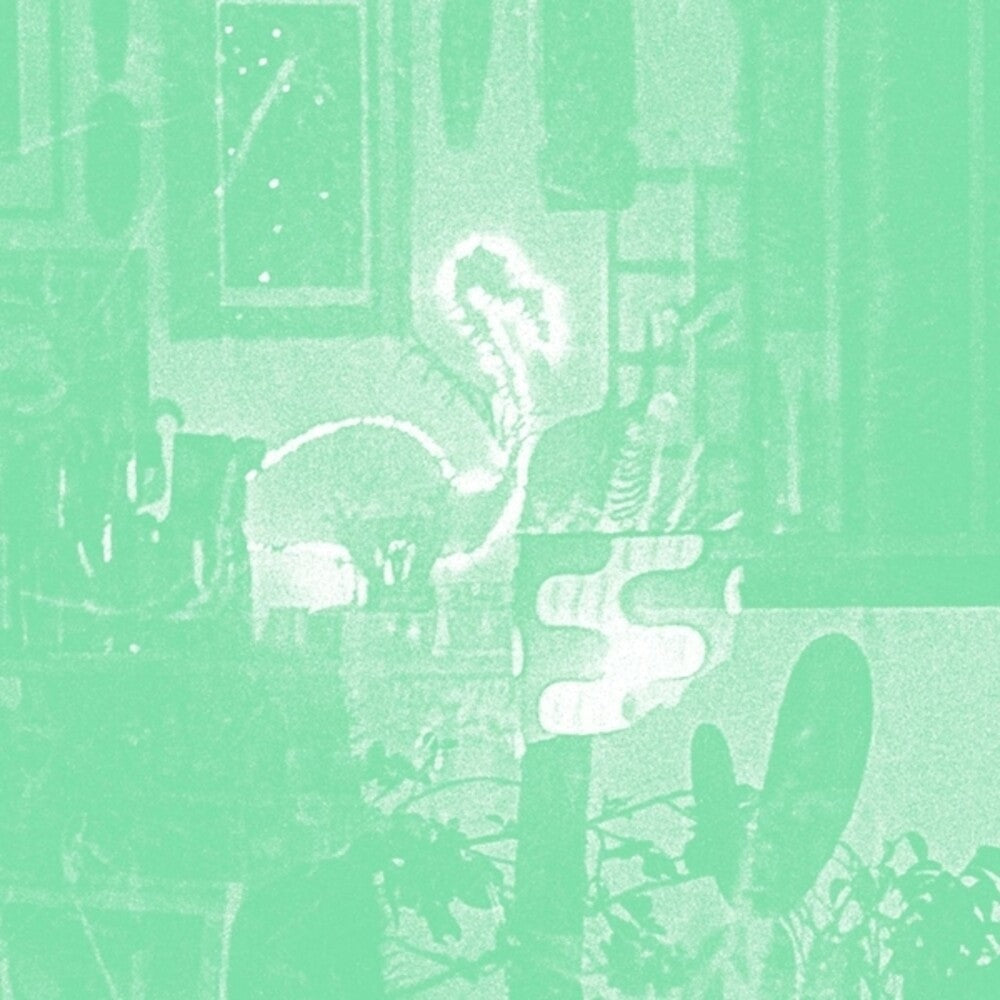 the album cover for Mike Cooper - Stochastic Parrot