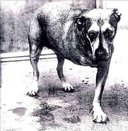 Alice In Chains Alice in Chains