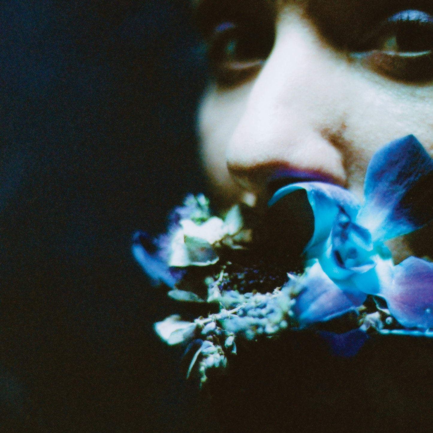 Circuit Des Yeux REACHING FOR INDIGO