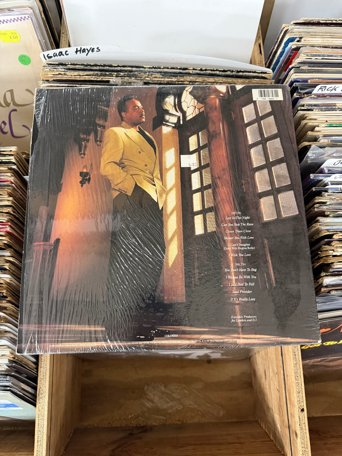 Peabo Bryson – Can You Stop The Rain Vinyl LP C 46823 VG+/VG+