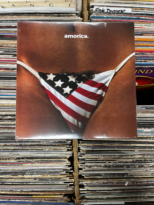 The Black Crowes ‎– Amorica 180 G Vinyl Lp B0018988-01050087401641050087401641
