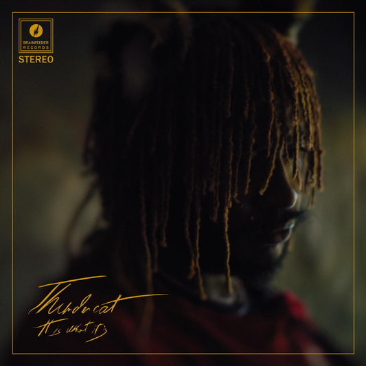 Thundercat-It Is What It Is Red Vinyl LP