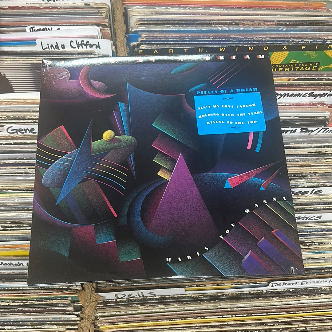 Pieces Of A Dream – Makes You Wanna Vinyl LP