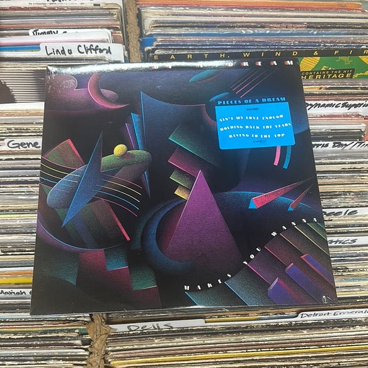 Pieces Of A Dream – Makes You Wanna Vinyl LP