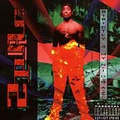 2Pac STRICTLY 4 MY NIGGAZ
