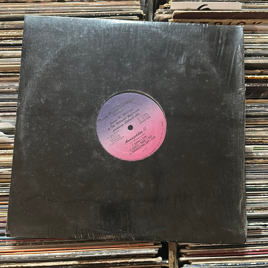 James H. Williams & The Ultimate Experience Featuring Lothario Lee - Armageddon !! / The Lovely Dark One 12" Vinyl Lp