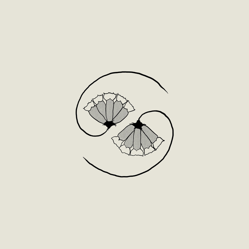 the album cover for Godspeed You! Black Emperor - G_D's Pee At State's End! [180 gram LP + 10in]