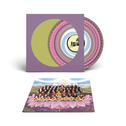 George Harrison - DARK HORSE (50TH ANNIVERSARY/ZOETROPE VINYL/LIMITED/NUMBERED) (RS) Vinyl LP