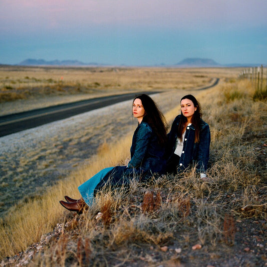 the album cover for Plains - I Walked With You A Ways [Indie Exclusive Pink Clear LP]