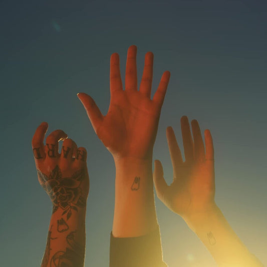 the album cover for boygenius - the record [Indie Exclusive Limited Edition Clear LP]