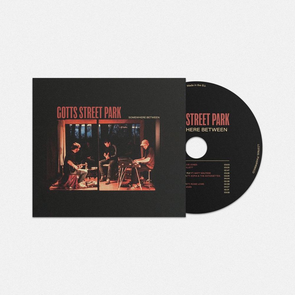 the album cover for Gotts Street Park - Somewhere Between