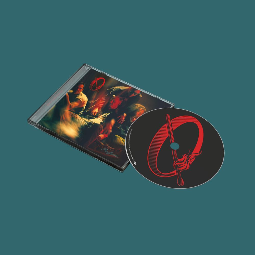 the album cover for Queens Of The Stone Age - Perfecth