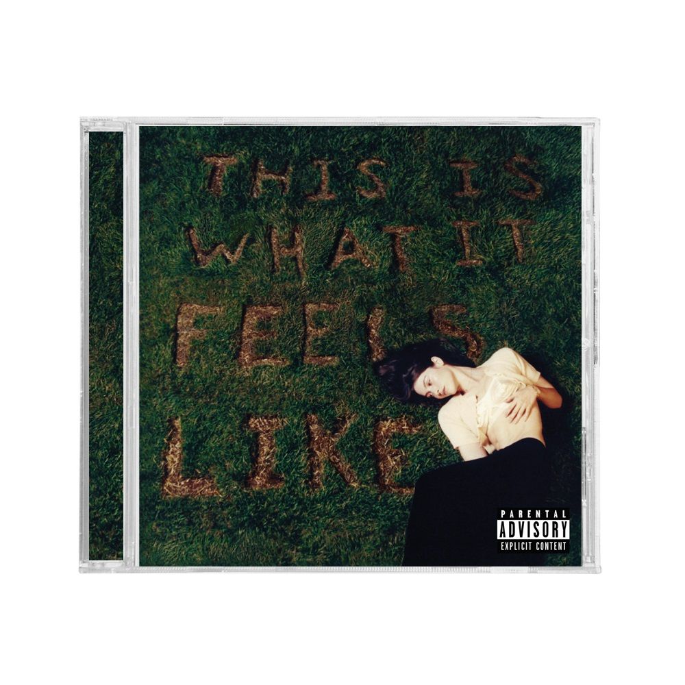 the album cover for Gracie Abrams - This Is What It Feels Like