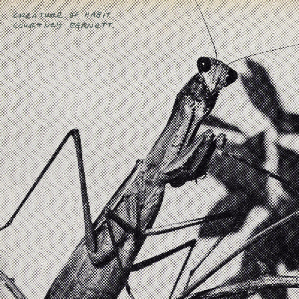 the album cover for Courtney Barnett - Creature of Habit