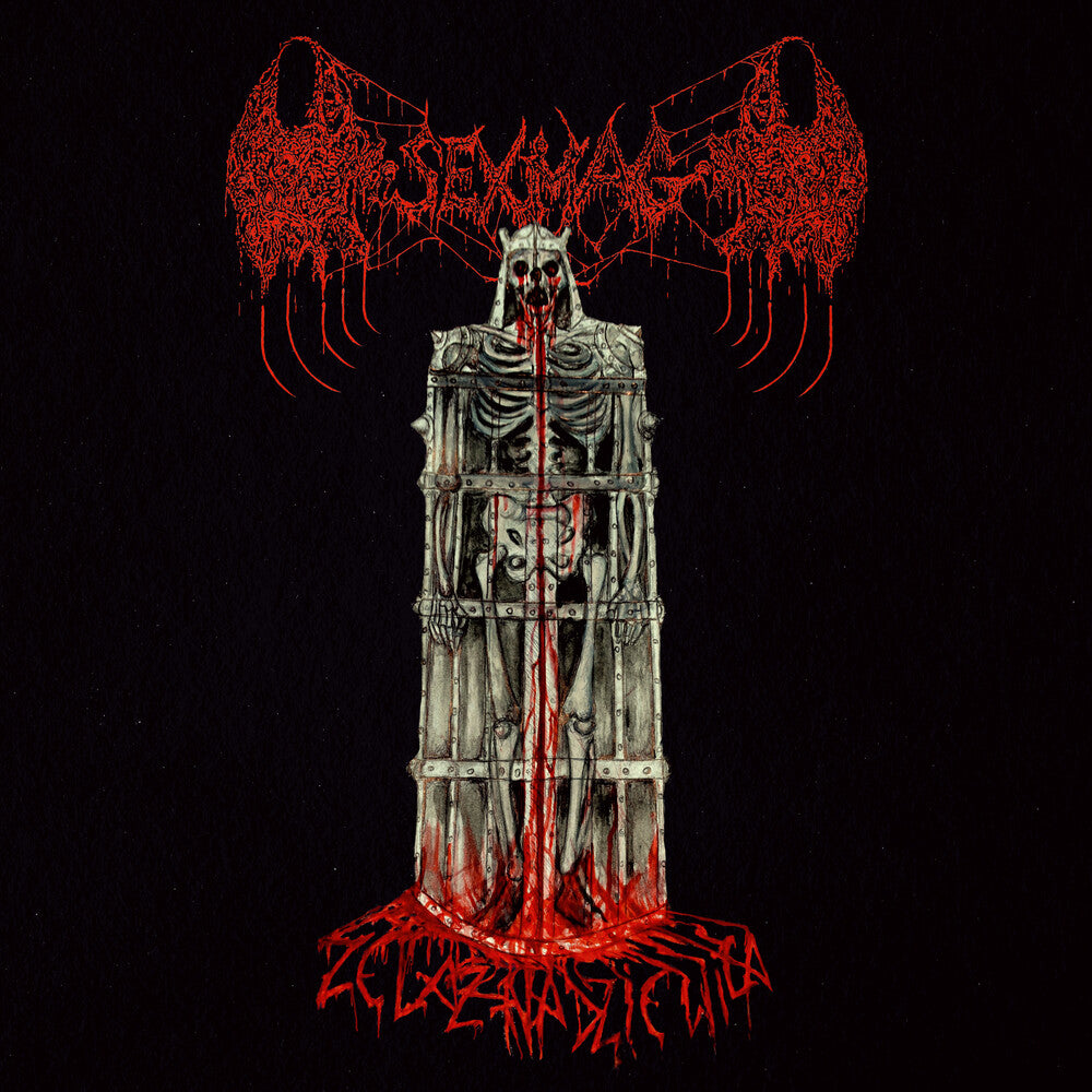 the album cover for Sexmag - Zelazna Dziewica