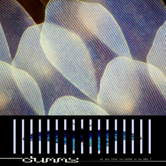 the album cover for Dummy - Do You Love The Color Of The Sky