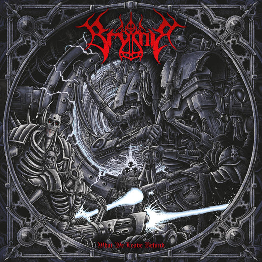 the album cover for Brymir - What We Leave Behind