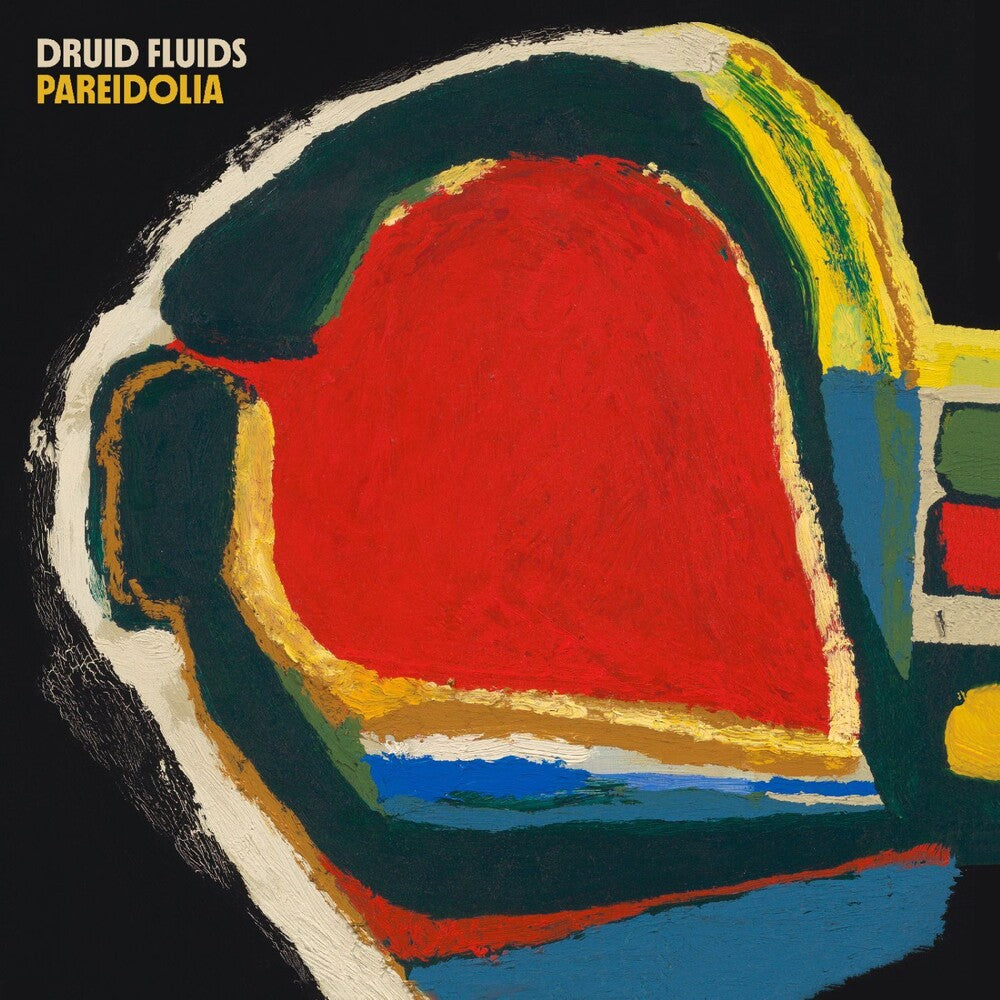 the album cover for Druid Fluids - Pareidolia