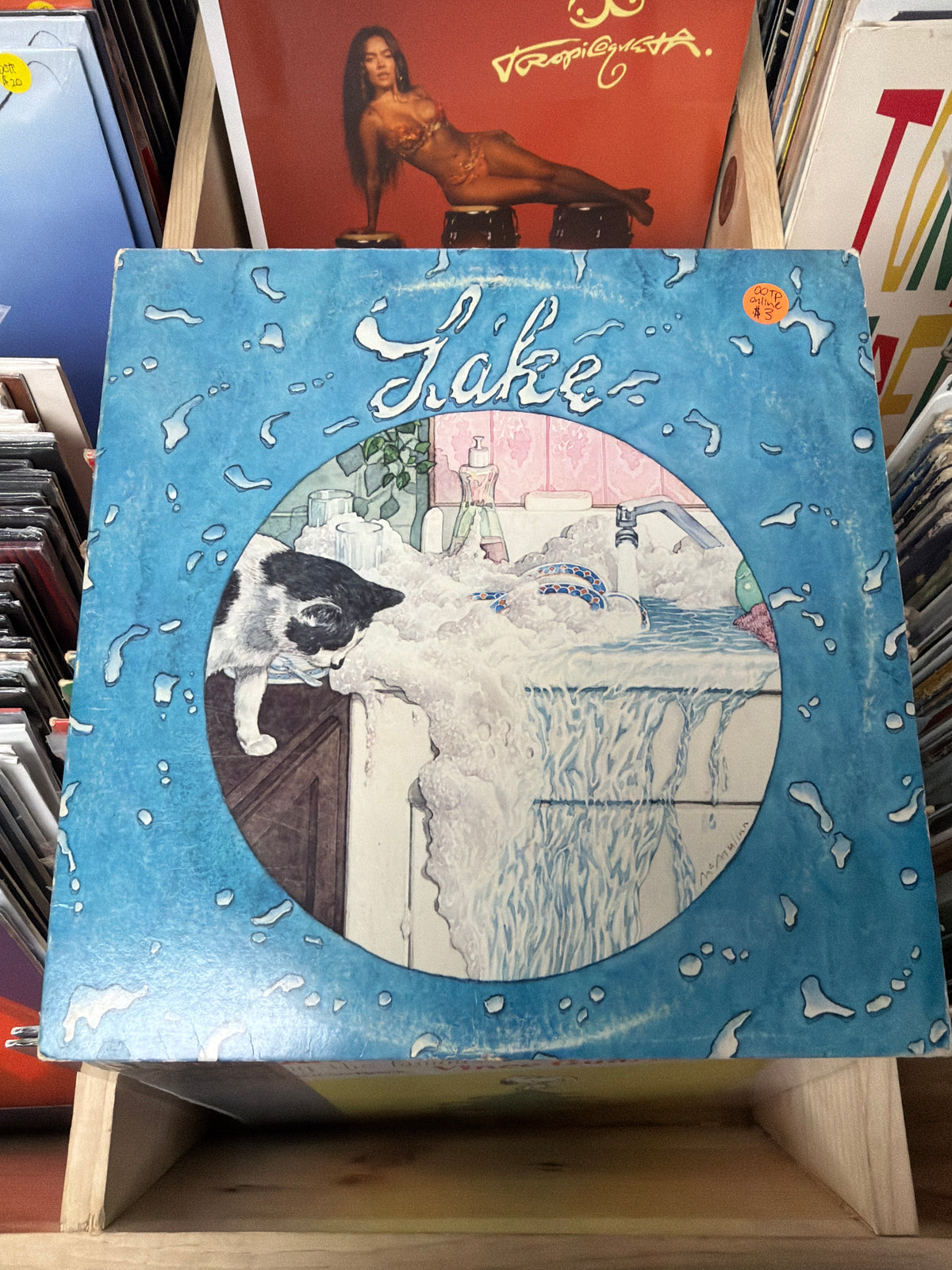 Lake - Lake PC 34763 Vinyl LP VG+/VG+