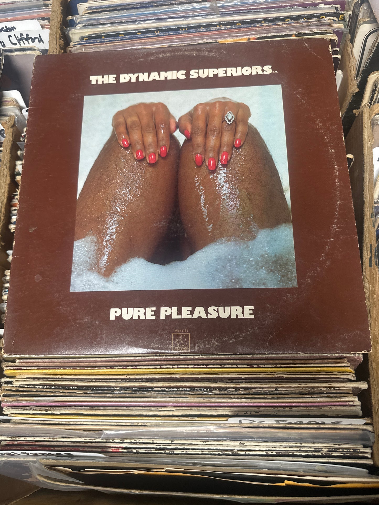 The Dynamic Superiors- Pure Pleasure M6-841S1 Vinyl LP VG+/VG+