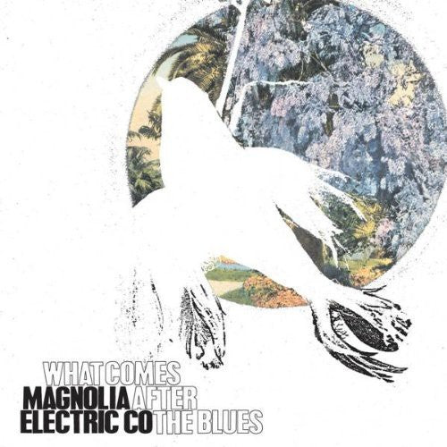 the album cover for Magnolia Electric Co. - What Comes After the Blues