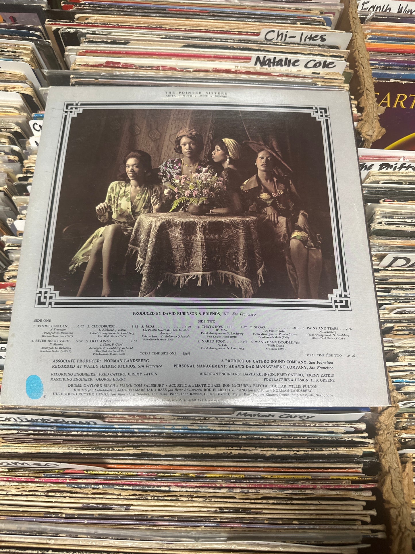 The Pointer Sisters-The Pointer Sisters Vinyl BTS 48 VG+/VG+