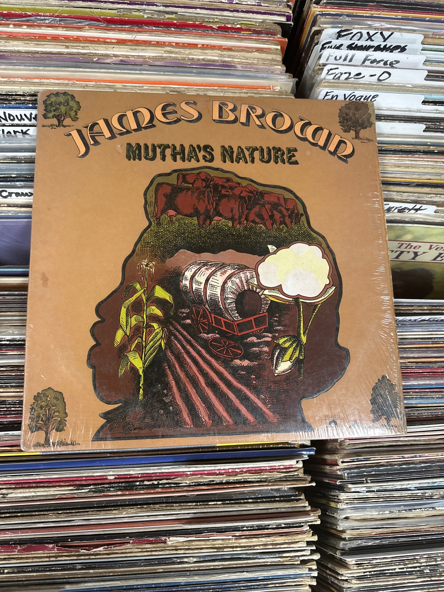 James Brown And The New J.B.'s – Mutha's Nature Vinyl, LP, PRC Pressing VG+/VG+