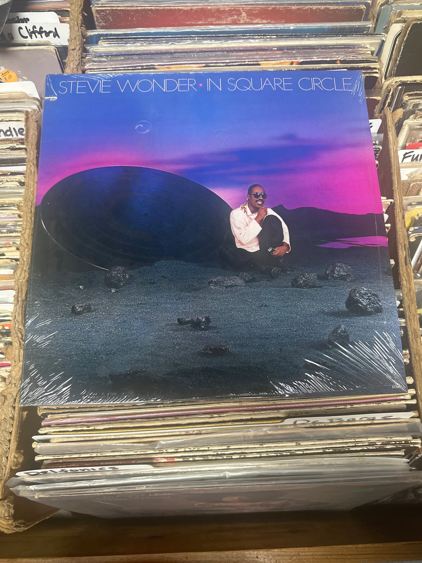 Stevie Wonder-In A Square Circle 6134TL Vinyl LP Orig. Pressing