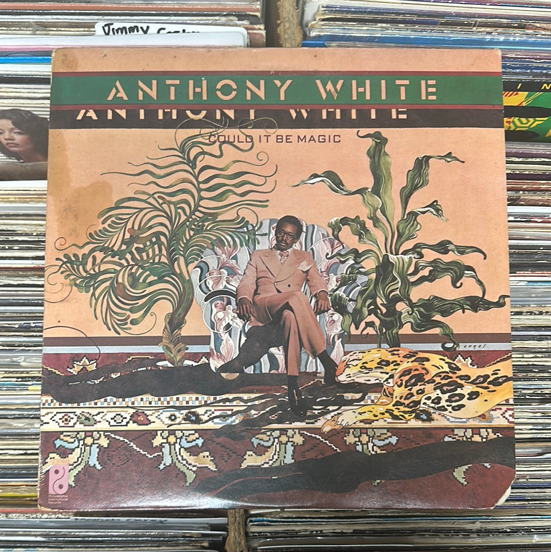 Anthony White ‎– Could It Be Magic PZ 33841 Vinyl LP VG/VG-