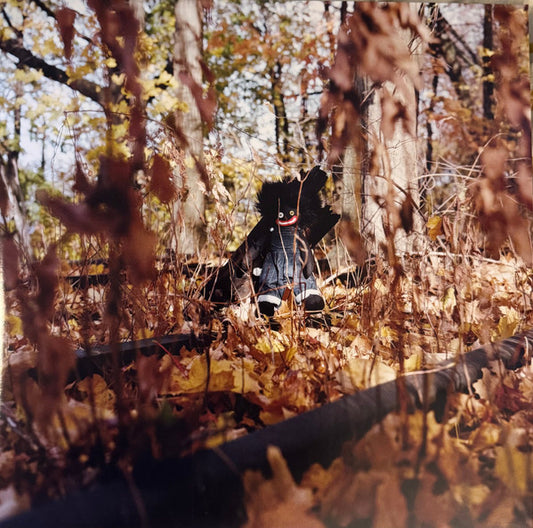 Billy Woods ‎– Golliwog Vinyl LP