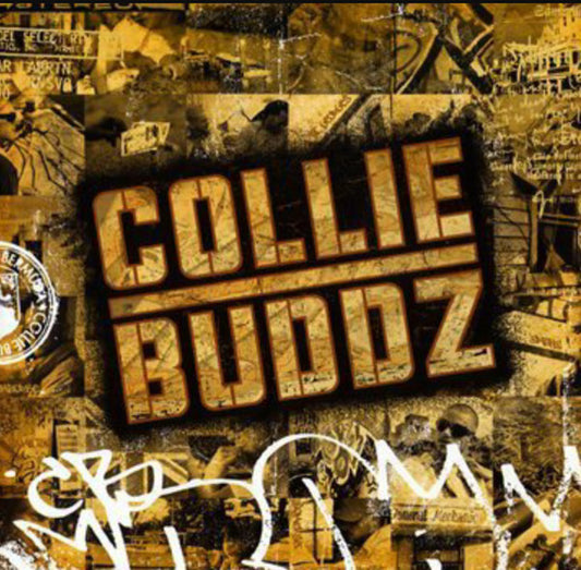 Collie Buddz – Collie Buddz CD VG+/VG+