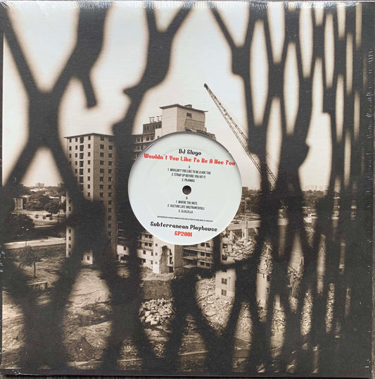 DJ Slugo ‎– Wouldn't You Like To Be A Hoe Too 12" Vinyl LP