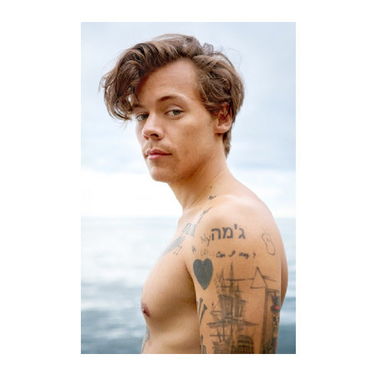 Harry Styles Poster
