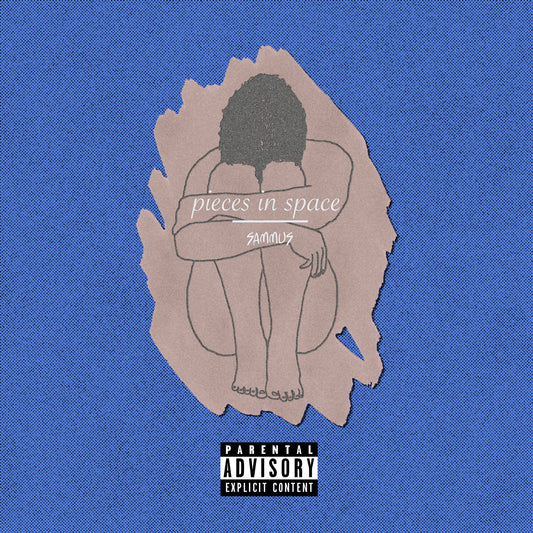 Sammus Pieces In Space