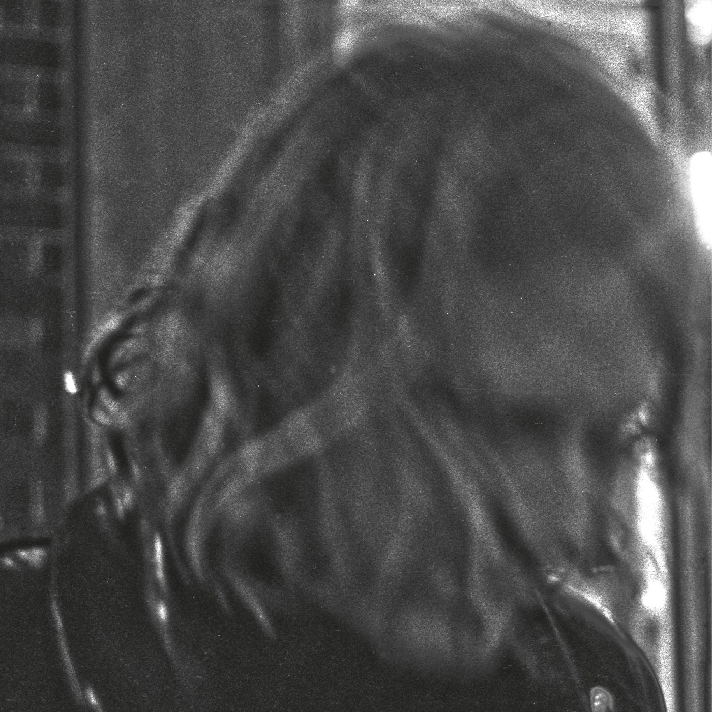 Ty Segall TY SEGALL